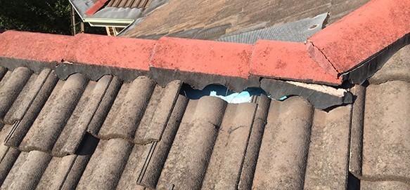 Sydney roof repairs