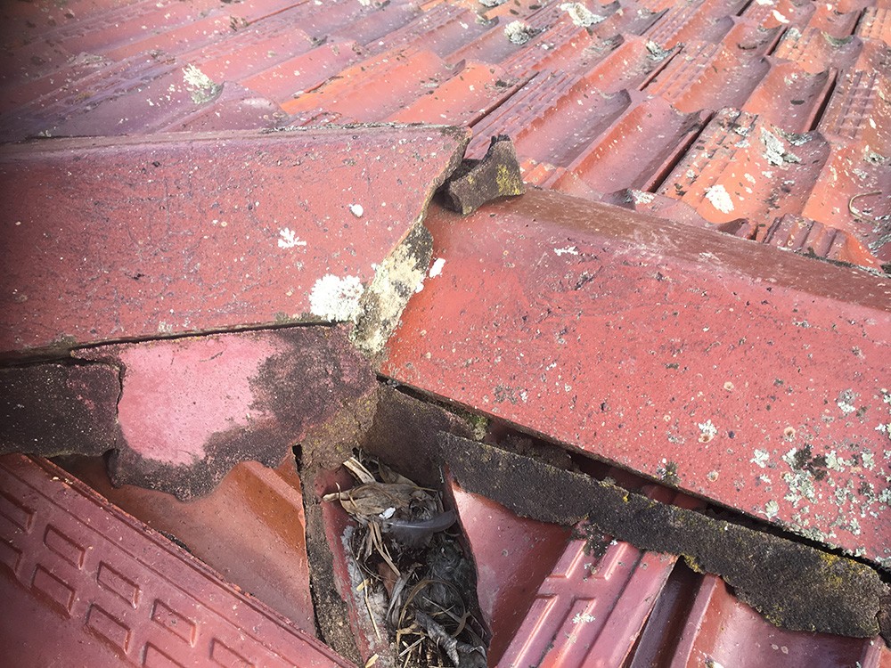Leaking Roof Repairs Sydney